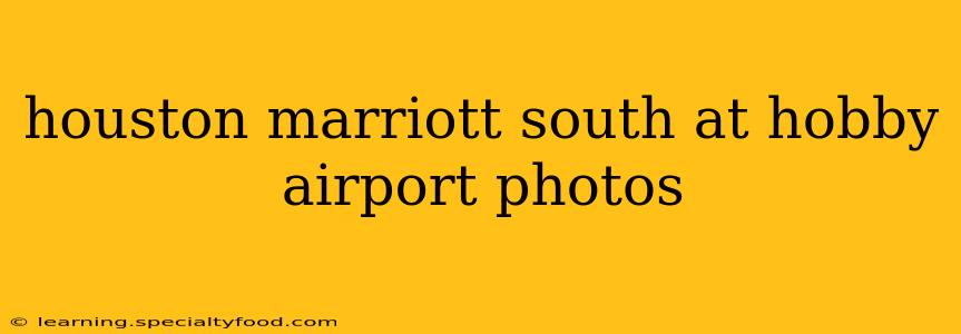 houston marriott south at hobby airport photos