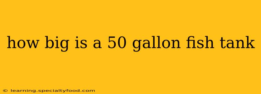 how big is a 50 gallon fish tank
