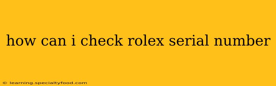how can i check rolex serial number