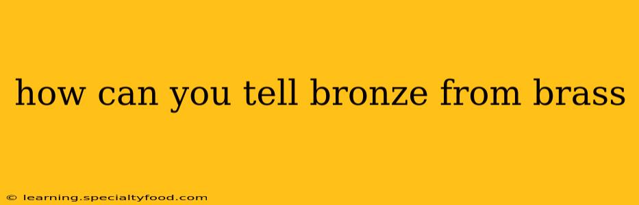 how can you tell bronze from brass