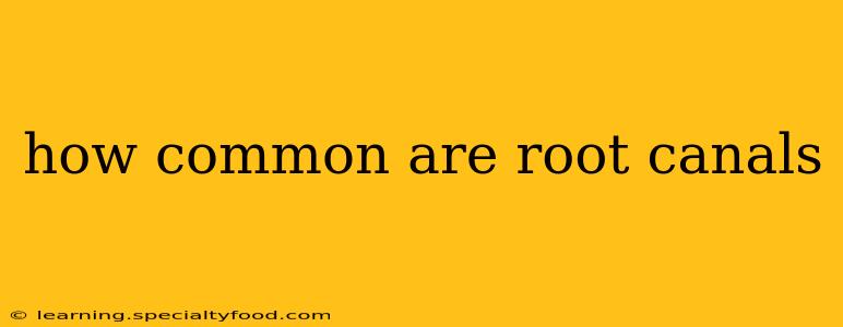 how common are root canals