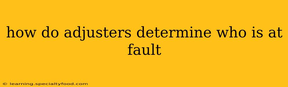 how do adjusters determine who is at fault