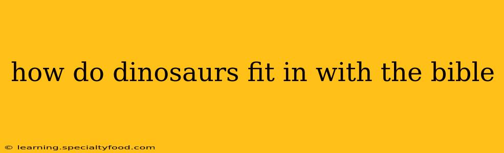 how do dinosaurs fit in with the bible