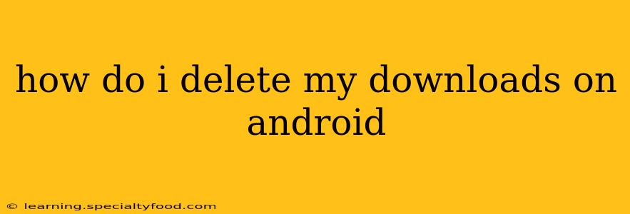 how do i delete my downloads on android
