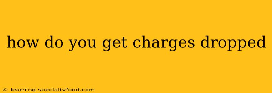 how do you get charges dropped