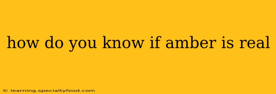 how do you know if amber is real