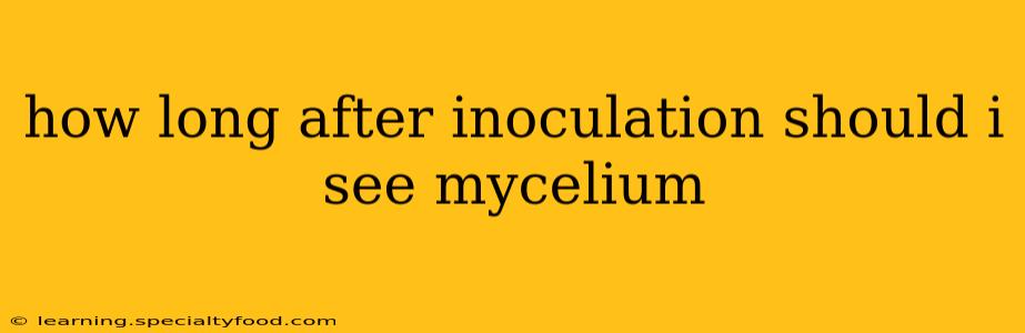 how long after inoculation should i see mycelium