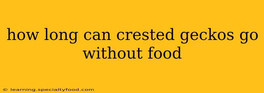 how long can crested geckos go without food