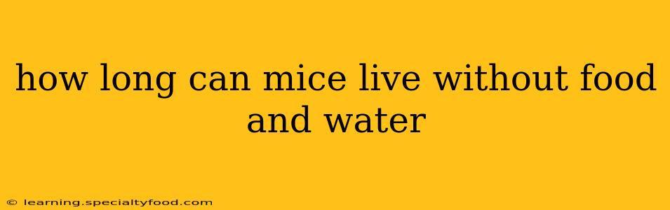 how long can mice live without food and water