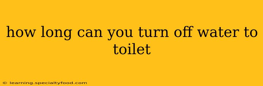 how long can you turn off water to toilet