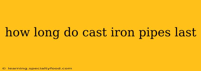 how long do cast iron pipes last