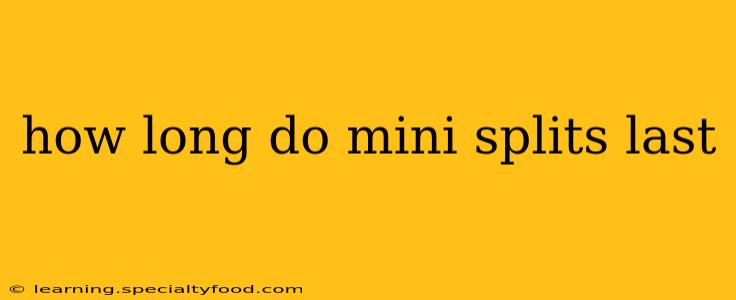 how long do mini splits last