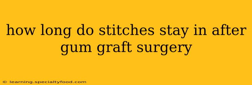 how long do stitches stay in after gum graft surgery
