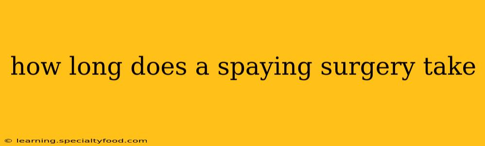 how long does a spaying surgery take