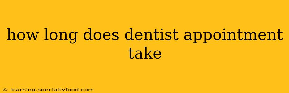 how long does dentist appointment take