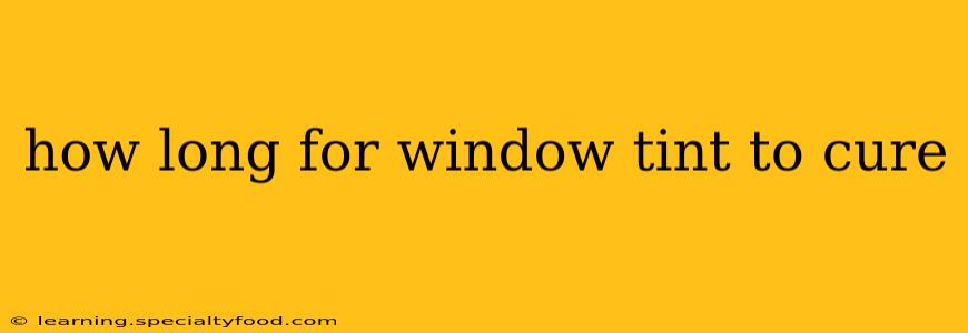 how long for window tint to cure
