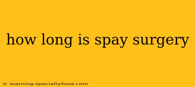 how long is spay surgery