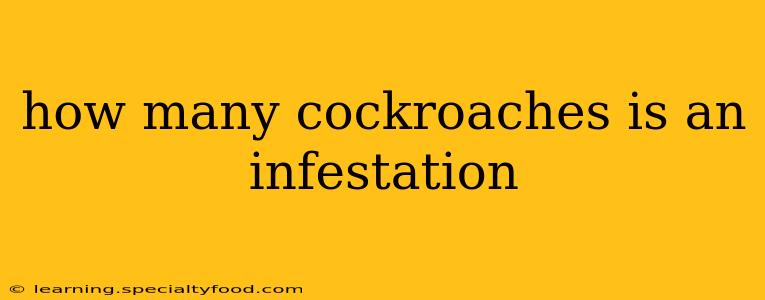 how many cockroaches is an infestation