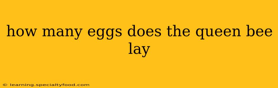 how many eggs does the queen bee lay