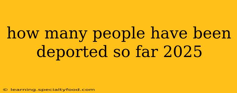 how many people have been deported so far 2025