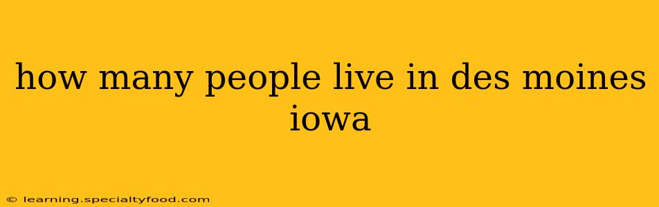 how many people live in des moines iowa