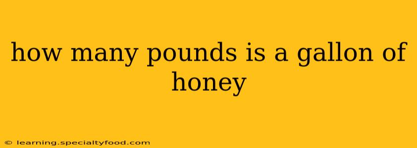 how many pounds is a gallon of honey