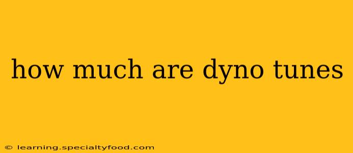 how much are dyno tunes