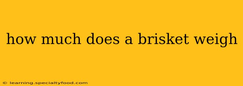 how much does a brisket weigh