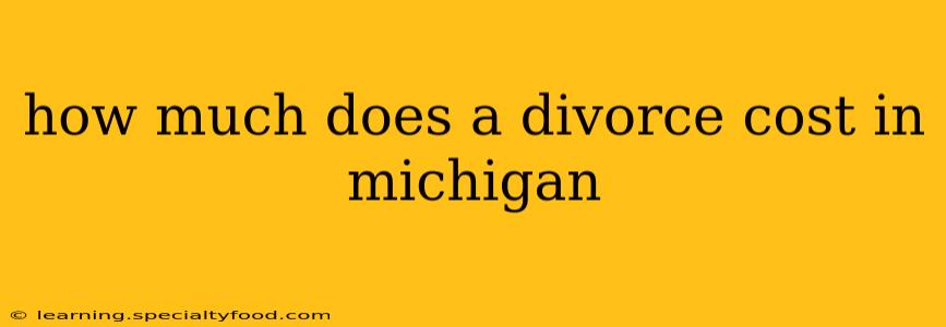 how much does a divorce cost in michigan