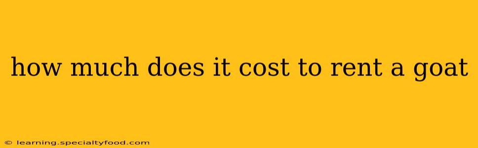 how much does it cost to rent a goat