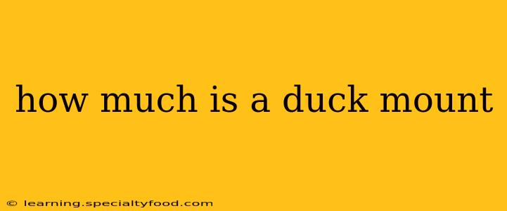 how much is a duck mount