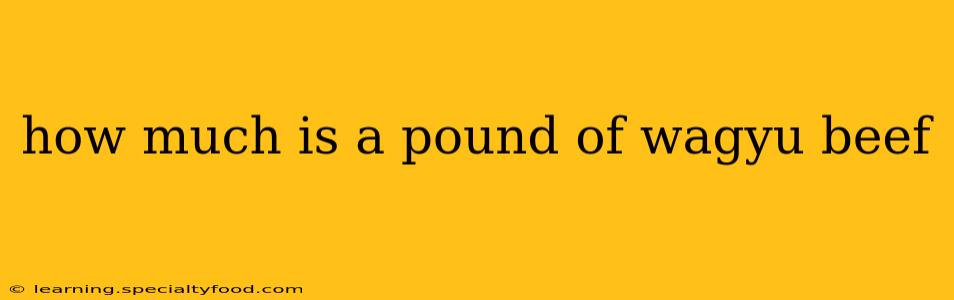 how much is a pound of wagyu beef