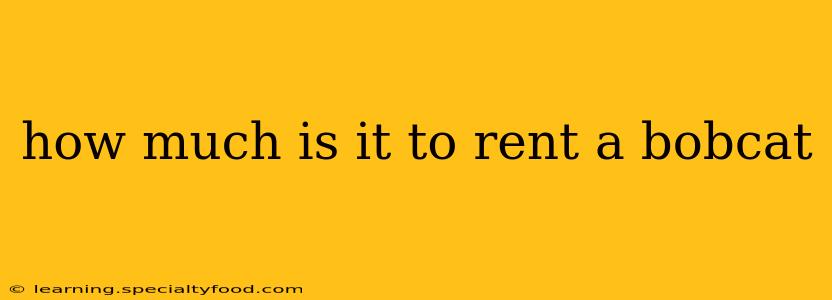 how much is it to rent a bobcat