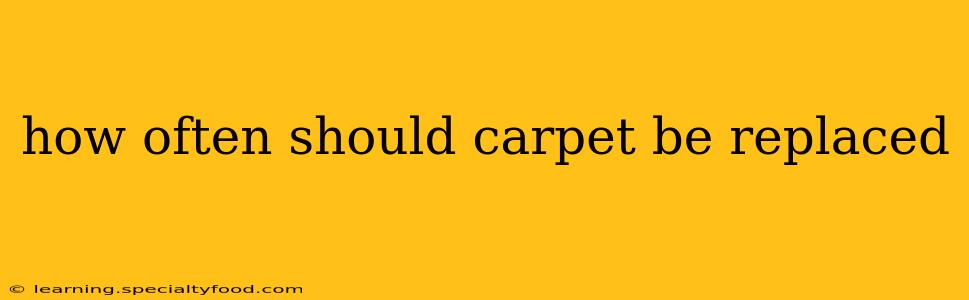 how often should carpet be replaced
