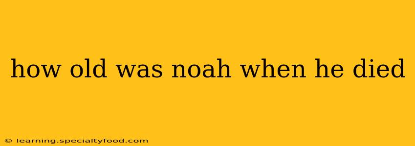 how old was noah when he died