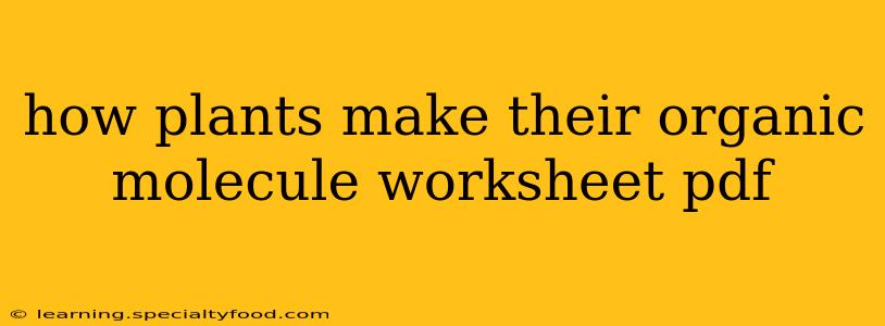 how plants make their organic molecule worksheet pdf