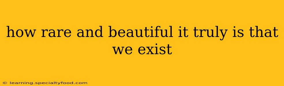 how rare and beautiful it truly is that we exist