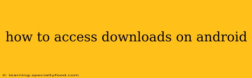 how to access downloads on android