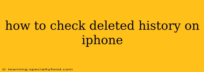 how to check deleted history on iphone