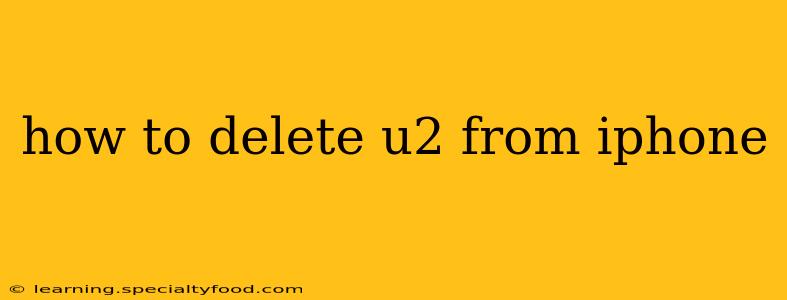how to delete u2 from iphone