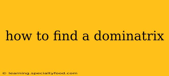how to find a dominatrix
