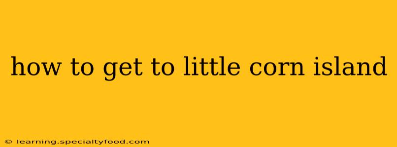 how to get to little corn island