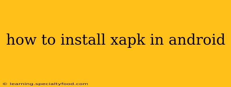 how to install xapk in android