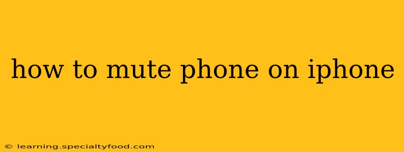 how to mute phone on iphone