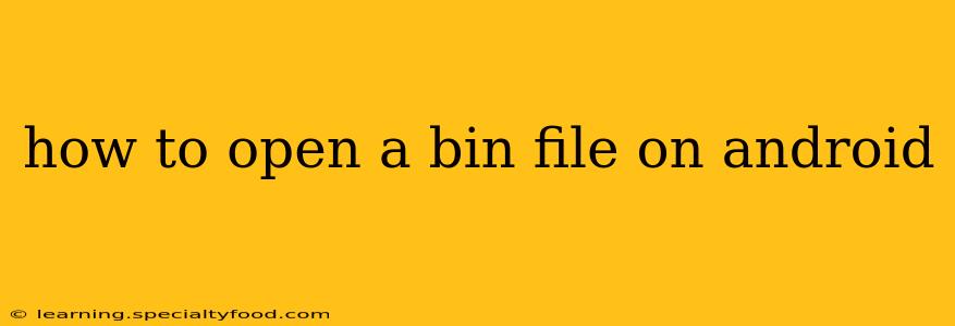 how to open a bin file on android