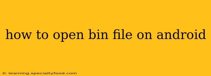 how to open bin file on android