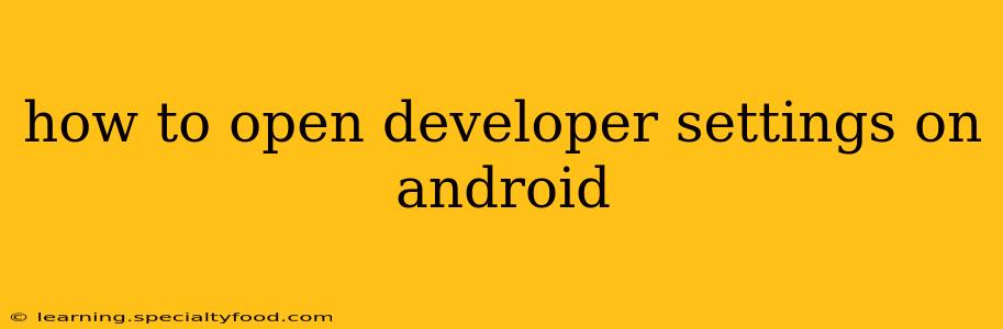 how to open developer settings on android