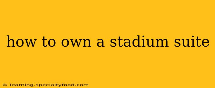 how to own a stadium suite