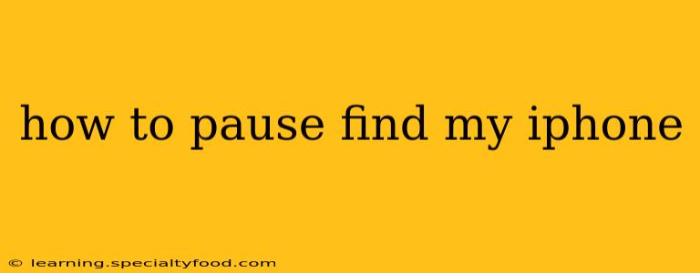 how to pause find my iphone