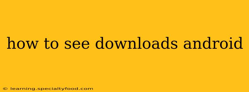 how to see downloads android